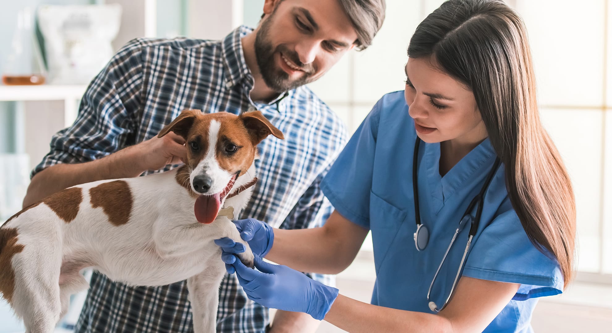 TMG-New-Veterinary-Assistant-Program